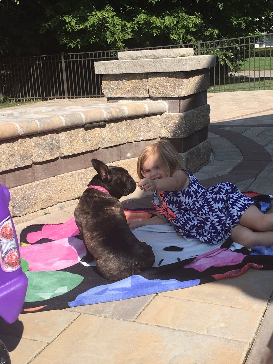 Coach_Finn's tweet photo. A girl and her puppy at a tea party:) #friendsfornow #Frenchie ❤️🐶 https://t.co/H6B0Ng5Xmz