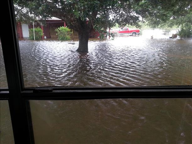 BillBishopKHOU's tweet photo. Harvey floodwater at the Guzman home in Needville, TX., Fort Bend County, SW of Houston.  #khou #HouNews https://t.co/KWD0LQ6umE https://t.co/NHm0sirjeR