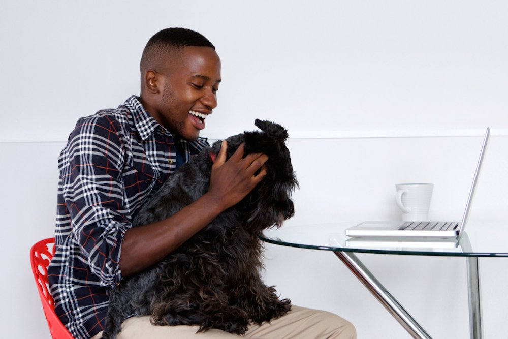 mental_floss's tweet photo. Just petting a dog for a few minutes sends feel-good chemicals to the brain and can soothe a frazzled nervous system. #NationalDogDay https://t.co/9n7J2sddlk