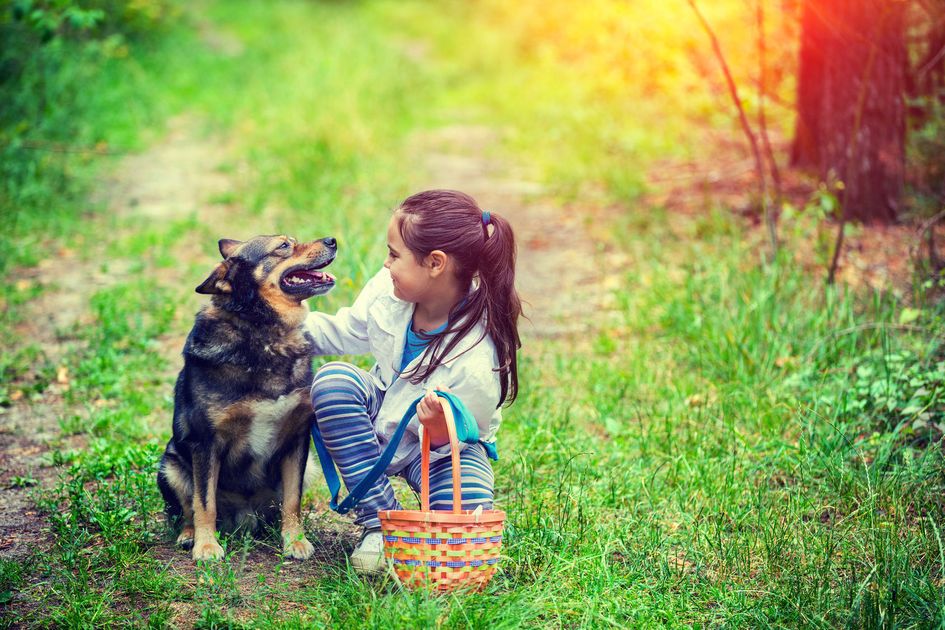 GrayLineToursDC's tweet photo. Happy #NationalDogDay! Here are 15 great #dogsparks around #WashingtonDC that you and your furry BFF will love ๐ถ https://t.co/WgLg610RAA https://t.co/l7xIM7D01i