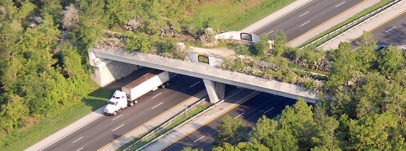 KrysRinaman's tweet photo. Manley Fuller: FL wildlife crossings work; safety for animals, people - Florida Politics https://t.co/vMRneMlLX9 https://t.co/UvpI60sk9F