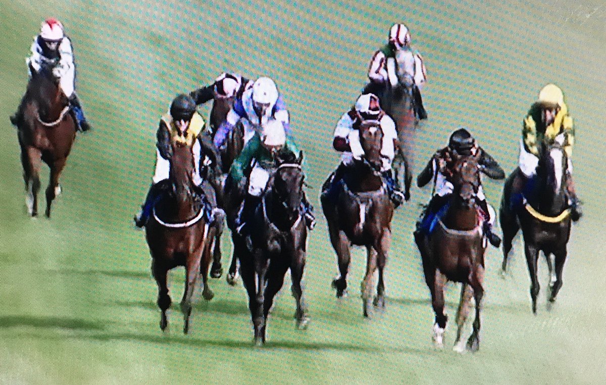 amajox's tweet photo. Congrats @amajox @patmillman🏆win yest👏@salisburyraces #HawbridgeGlory @rodmillmanracin #toptable #champship #topjock https://t.co/ARvZX9oWle