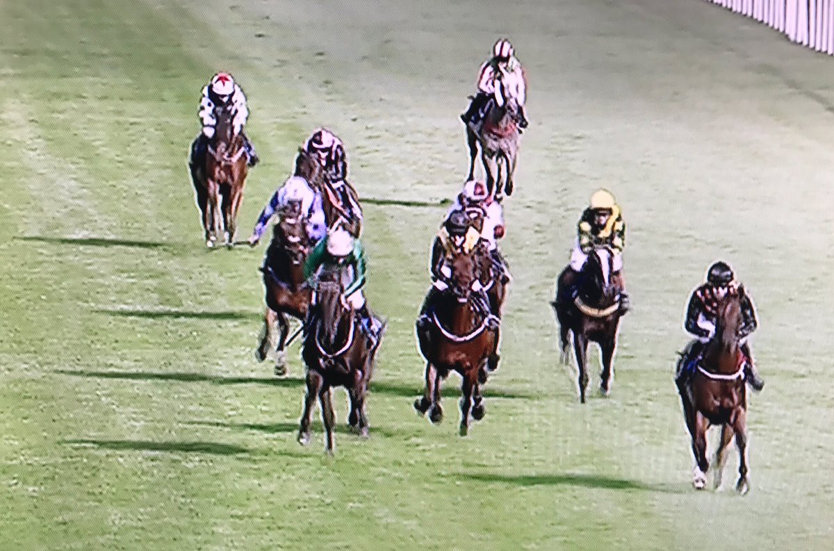 amajox's tweet photo. Congrats @amajox @patmillman🏆win yest👏@salisburyraces #HawbridgeGlory @rodmillmanracin #toptable #champship #topjock https://t.co/ARvZX9oWle