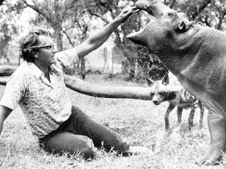 News_Kenya's tweet photo. [TRIBUTE] Renown wildlife filmmaker Alan Root dies aged 80: Renowned filmmaker Alan Root died on Saturday morning… https://t.co/ieYTEeKFSU https://t.co/dUMM1DGs5y