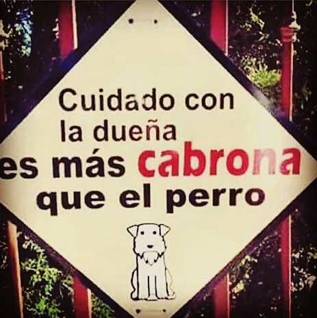PolipokerLD's tweet photo. Mmmm Ya se le voy a regalar a...........!  Jaja ;-) https://t.co/6KsrrxVw2g
