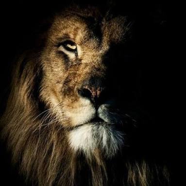 alexandreopus's tweet photo. #OperacaoBetaLab
#BetaAjudaBeta
#BetaSegueBeta
#TimBeta
#MissaoBetaLab
#FocoNoBetaLab https://t.co/d36cFYQL11