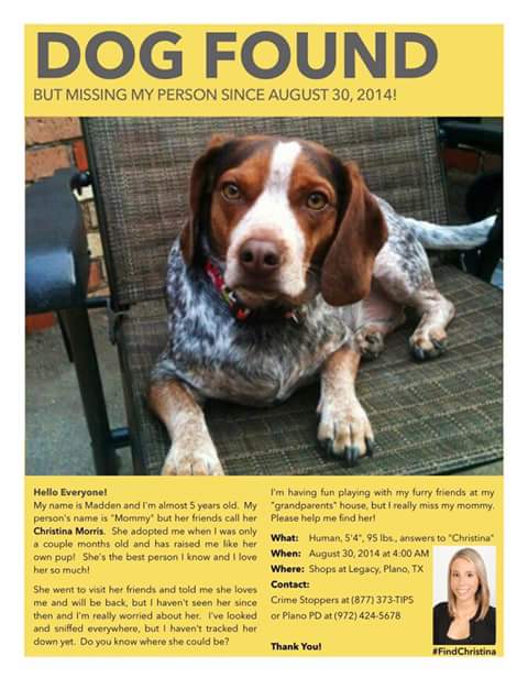 Lady_Turco_fan's tweet photo. It's #NationalDogDay &amp; Madden the Beagle is still missing Christina! PLEASE PLEASE RETWEET to help #FindChristina! #kidnapped #Plano #Texas https://t.co/kB3GBwzKLD