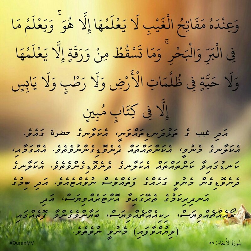 QuranMV's tweet photo. Allah knows everything. #QuranMV #verseoftheday #thinkquran #quraniclife
https://t.co/ZWoq8CxrP4 https://t.co/qoF1k88be1
