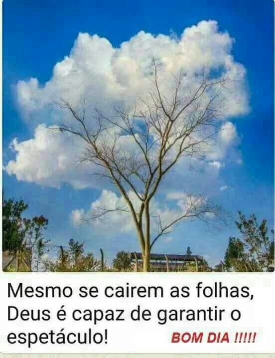 GarciaAltina's tweet photo. Tarde abençoada! #parceirosbetas https://t.co/rZKIM5RiMO