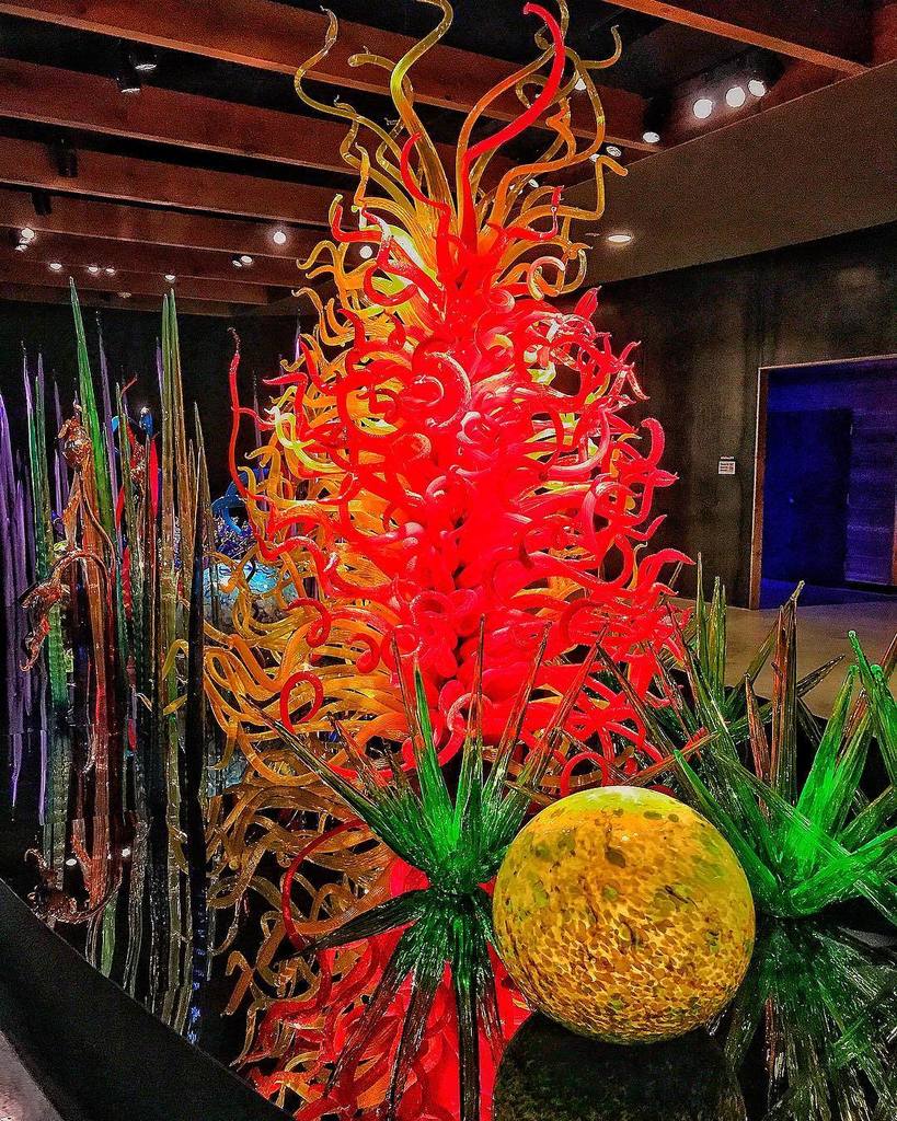 lilbunnichelle's tweet photo. A garden of glass! #chihulycollection #chihuly #stpetersburg #stpete #offonthego @chihulystpete @offonthego @vspc https://t.co/PKQkO0d1ac