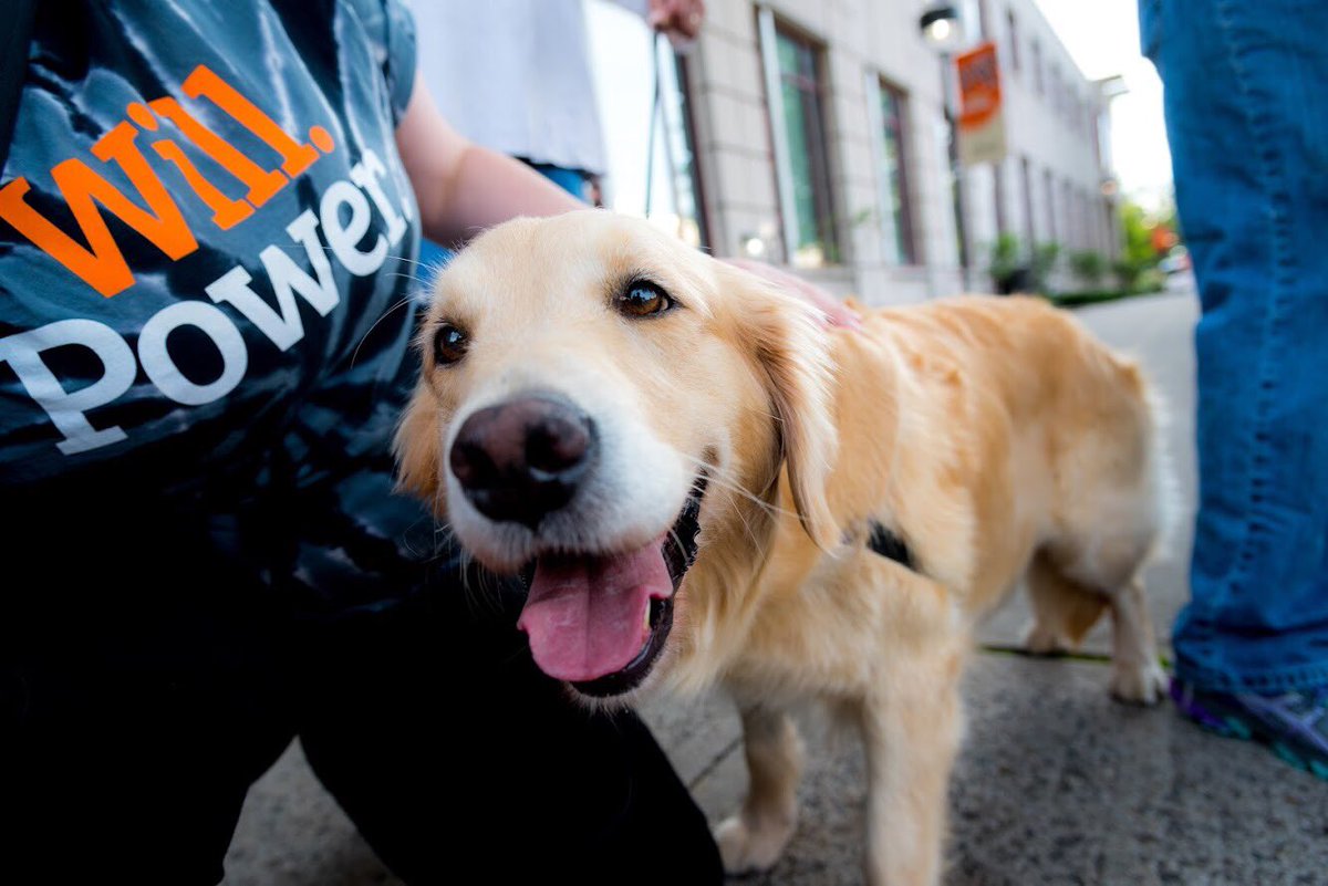 wpunj_edu's tweet photo. Happy #NationalDogDay to all our #PetsOfWP! 🐶❤️ https://t.co/X97tdUH3fw