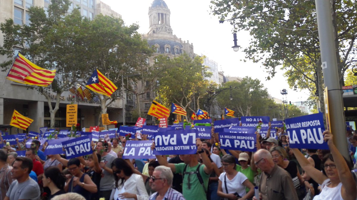 FASAMCAT tweet media