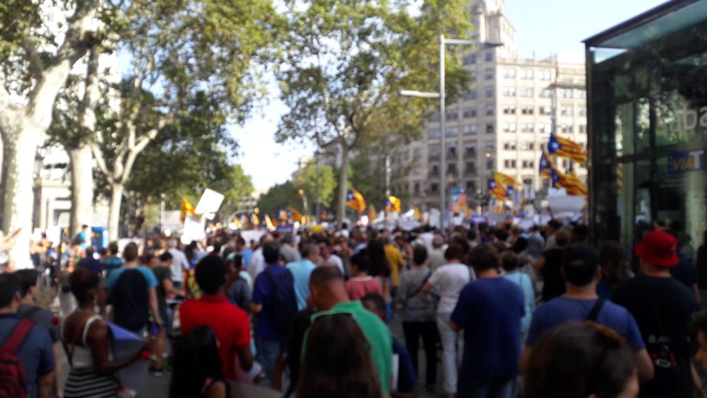 FASAMCAT tweet media