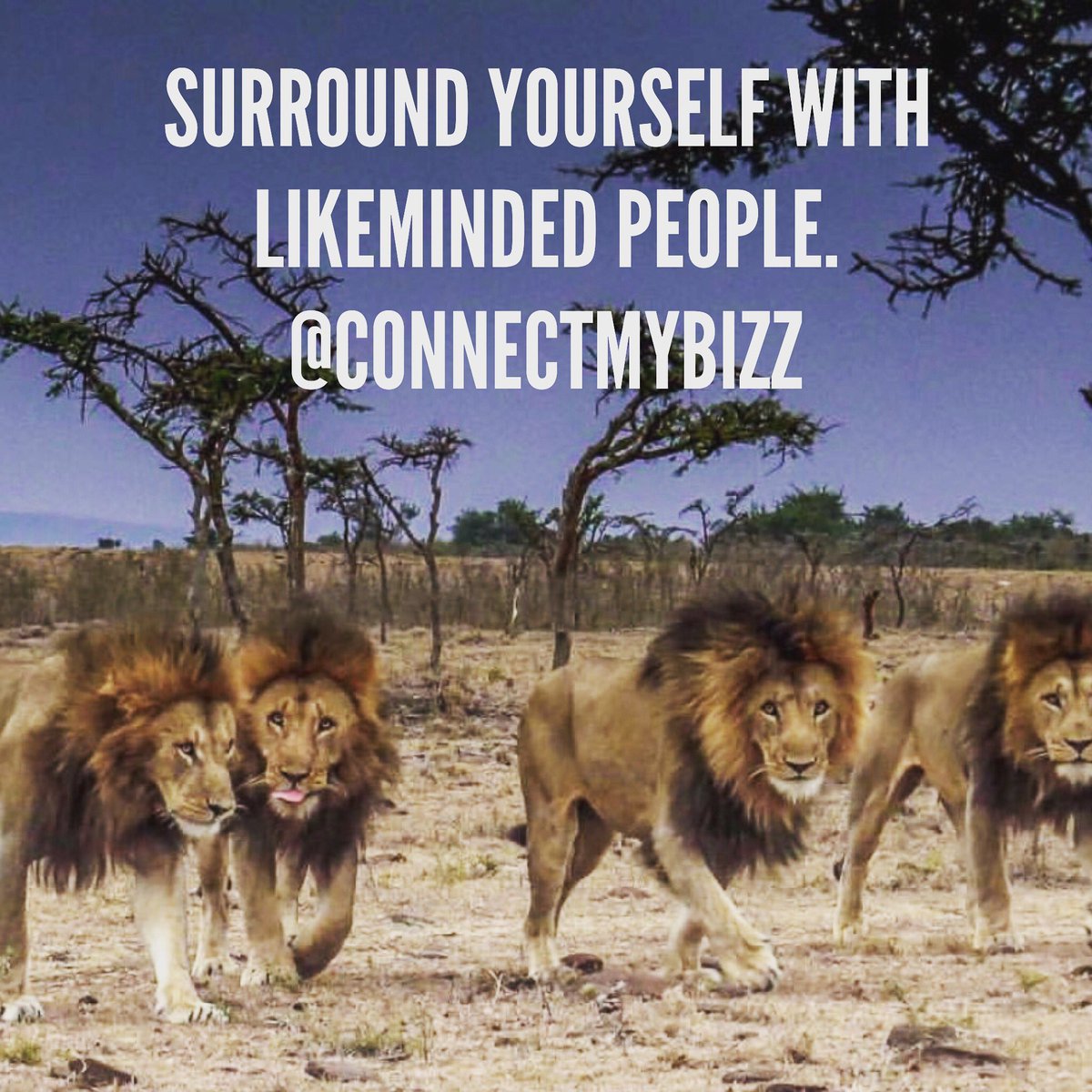 gawilsononline's tweet photo. Surround yourself with likeminded people. @connectmybizz #SmallBusiness #DailyInspiration #Podcasts #bizzjournal https://t.co/ddSimlBlK2 https://t.co/wBqj1nlYtR