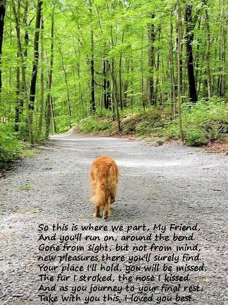 jbpf23's tweet photo. Rest in Peace dear Lady https://t.co/sAaLLF7MUs