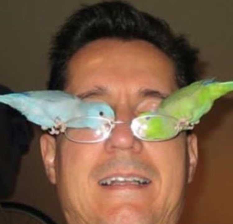 PhoebeRyan's tweet photo. can't see the haters https://t.co/IlFWNoUyH8