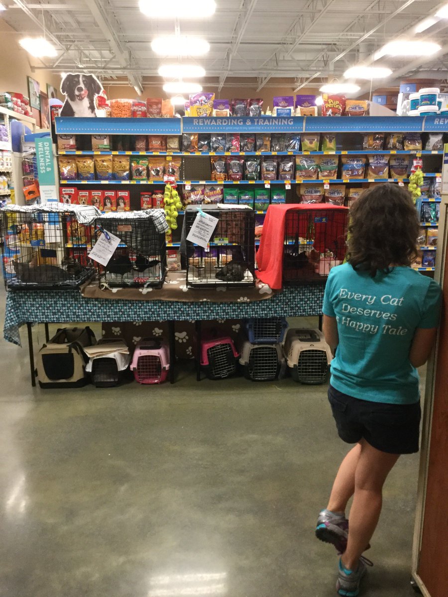 Petsmart2351's tweet photo. Tabby Tales is here for cat adoptions today from 11-2 so come in and check them out #PetSmart2351 @CoastalPETM https://t.co/Y0iPlBRJw7