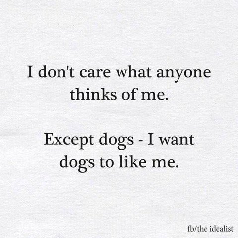 mikewatsontoday's tweet photo. Retweeted Gary Hensel (@gary_hensel):

#NationalDogDay https://t.co/2KGUeAE6HM https://t.co/6wwJtc32S6