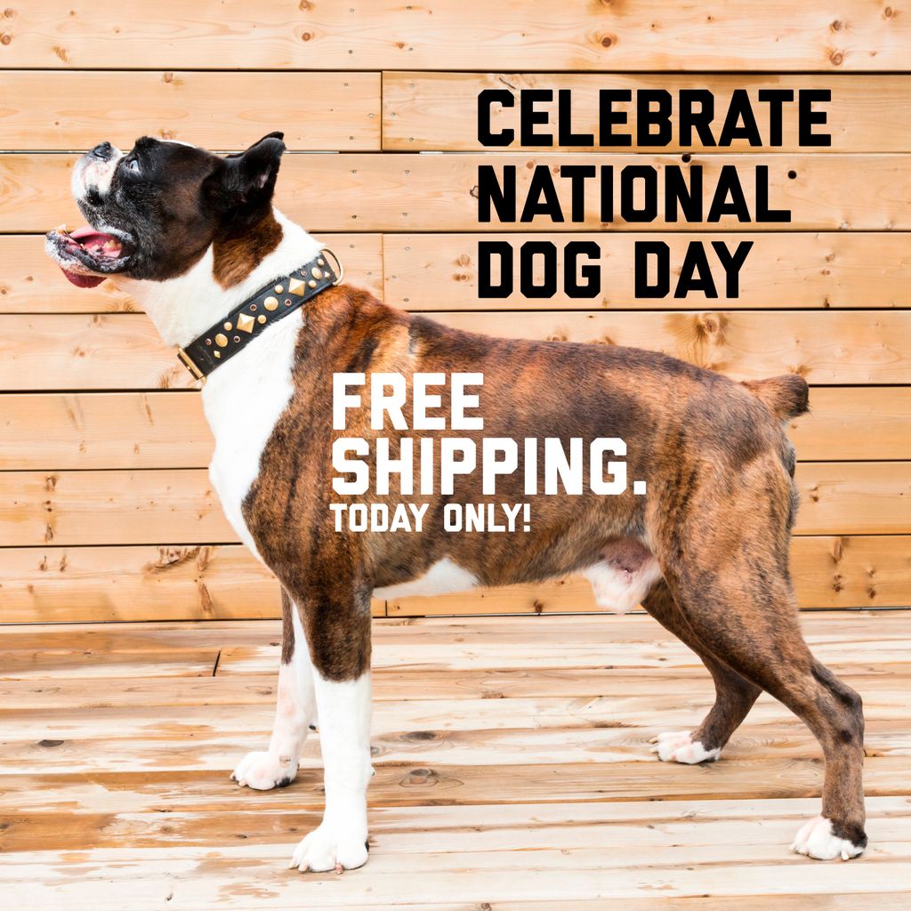 Celebrate National Dog Day with us and get #freeshipping off our entire store with code #NATIONALDOGDAY! #nationaldogday2017