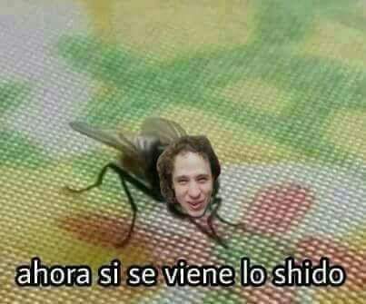 Roiereal's tweet photo. Este es el Luisito el mosca Comunica , si no das RT🔁 en 5 segundos , tendras 777 años de no ser CHIDO!
GOGOGO!! https://t.co/SAukpQm705
