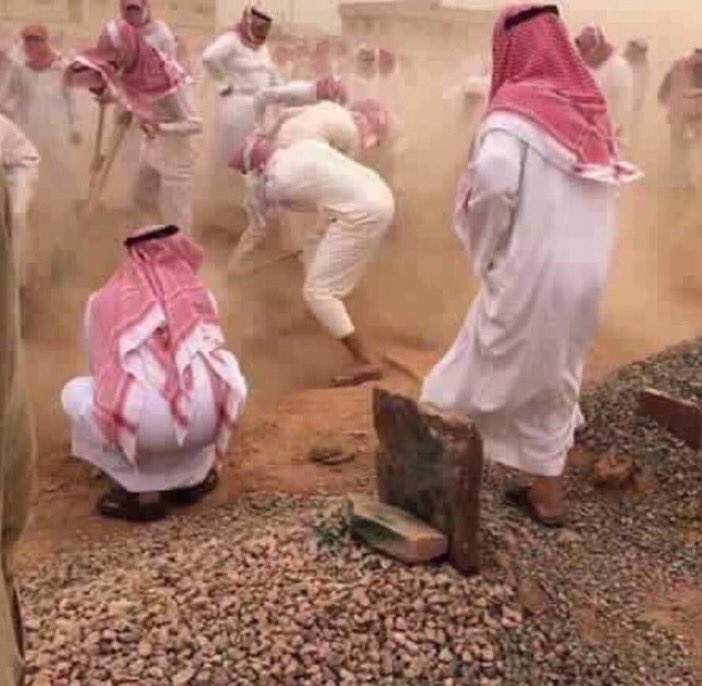 محمدوف tweet media