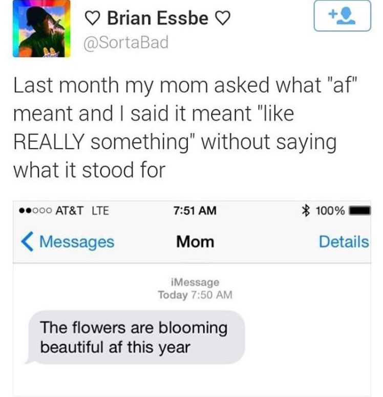 RespectfulMemes's tweet photo. https://t.co/qCfZsVD4cS