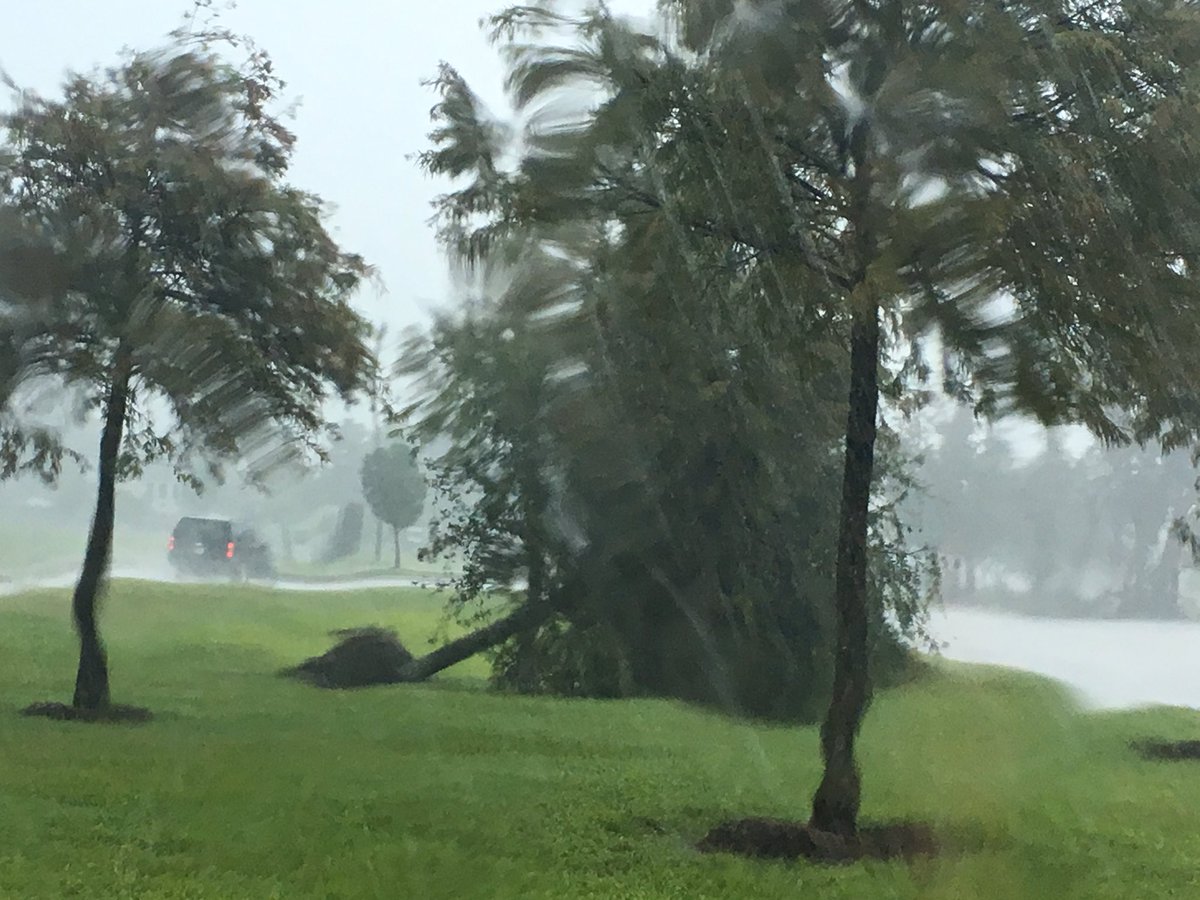 AdamBennettKVUE's tweet photo. Gate knocked down, trees uprooted at the Berry Center on Barker-Cypress Rd. in NW Harris Co. #khou11 https://t.co/T86V05FwVX