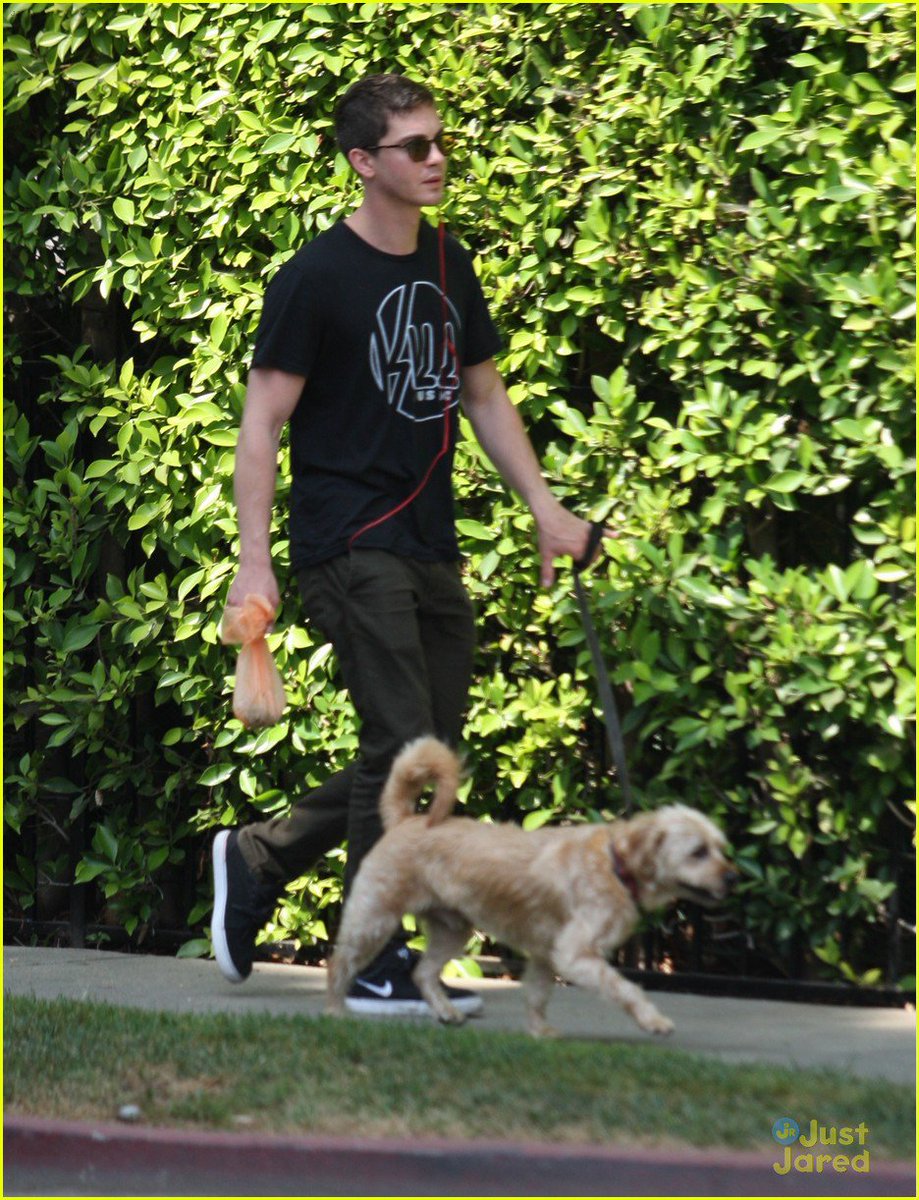LogandraPoland's tweet photo. Happy #NationalDogDay 💕
These dogs are lucky.
Logan Lerman and Alexandra Daddario with dogs. https://t.co/PvES8uTPzt