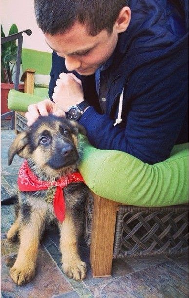 LogandraPoland's tweet photo. Happy #NationalDogDay 💕
These dogs are lucky.
Logan Lerman and Alexandra Daddario with dogs. https://t.co/PvES8uTPzt