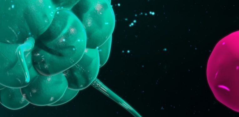 Labiotech_eu's tweet photo. Merck Ventures Joins Series A of @macrophagepharm , a #Brisith #Biotech, Using #Macrophages to Fight #Cancer https://t.co/D0so6rPxGN https://t.co/IG6e1VSHk2