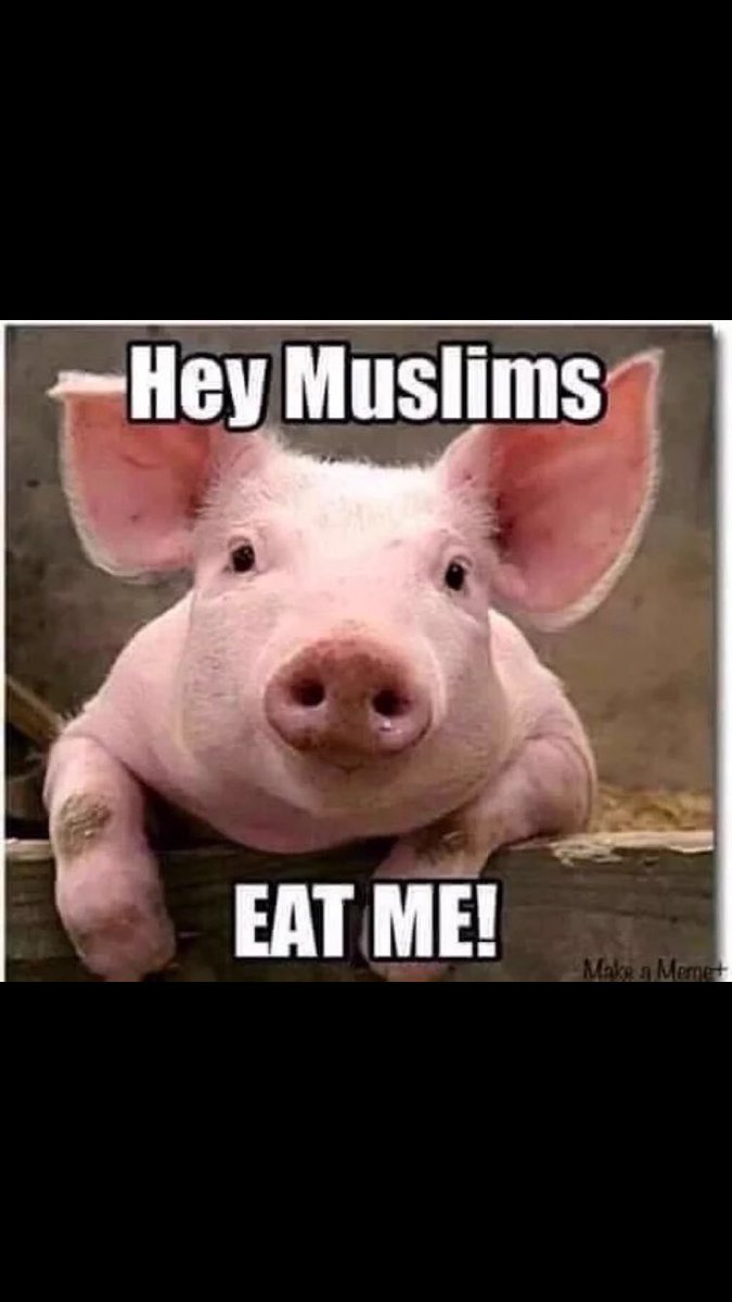 jamestrumpster1's tweet photo. #GTFO #FUCISLAM EAT MORE BACON @jamestrumpster1 https://t.co/R4iT6xybRF