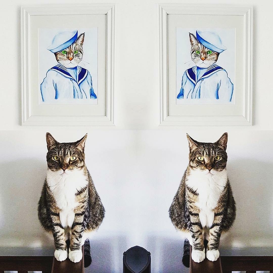 thewhiskerbox's tweet photo. The resemblance is uncanny ๐จ๐ข๐ฝ๐ผ๏ธ.
#doubletake #twinsies #caturday #CatsOfTwitter #underthesea #captainkitty #ayeayecaptain #catportrait https://t.co/YAUdCC27u2