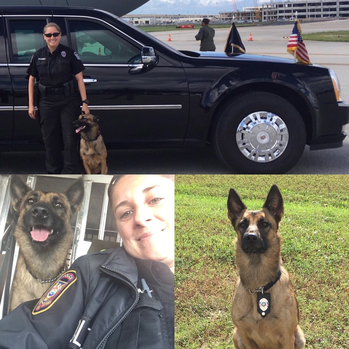 TPAPolice's tweet photo. It's #NationalDogDay! We'd like to introduce K9 Vika and her handler Ofc. Dietz. K9 Vika works hard and spends her time keeping us safe! https://t.co/DVZk7mA0dp