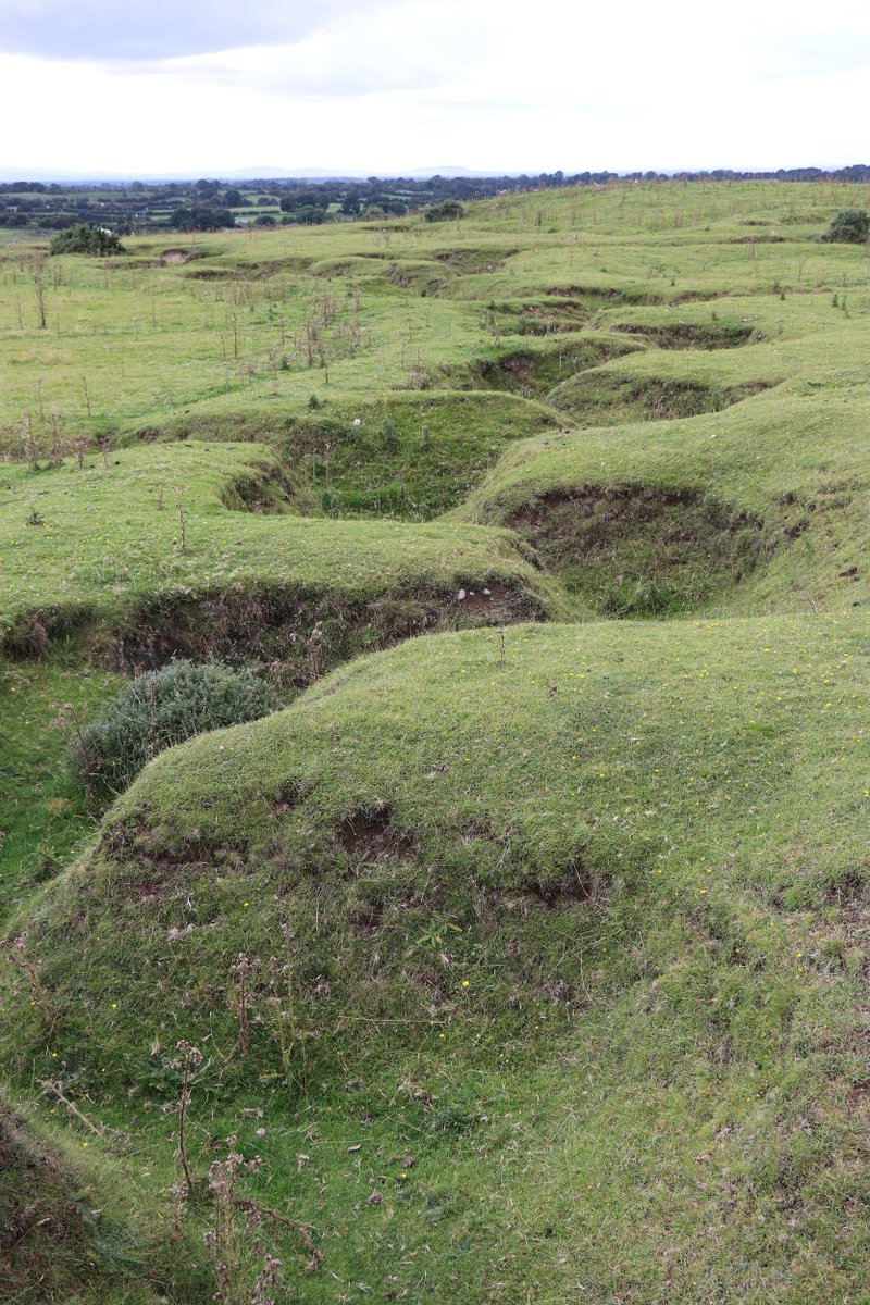 dwdepaor's tweet photo. Enjoyed a walk on the #Curragh as part of #CKAS (County Kildare Archaeological Society) @HeritageWeek event. The WW1 Trenches at #Flagstaff https://t.co/AZBULwtXus