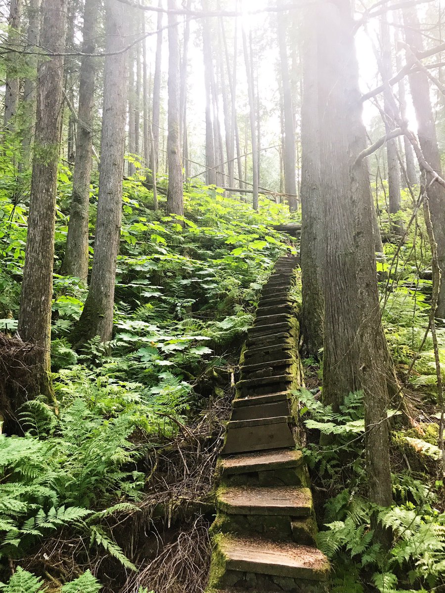 Heather Marks tweet media