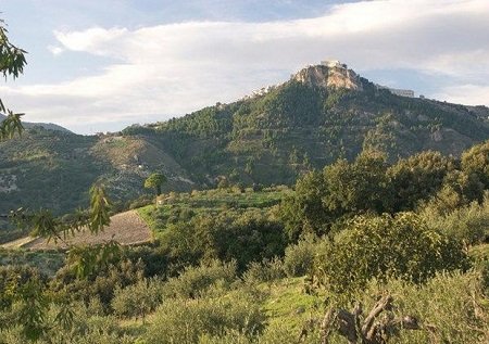 cronachedigusto's tweet photo. Il vino italiano più antico del mondo ha 6.000 anni: la scoperta shock vicino Agrigento https://t.co/Yx5J98zko2
#wine #vino #Sicilia https://t.co/IEB73kNTsb