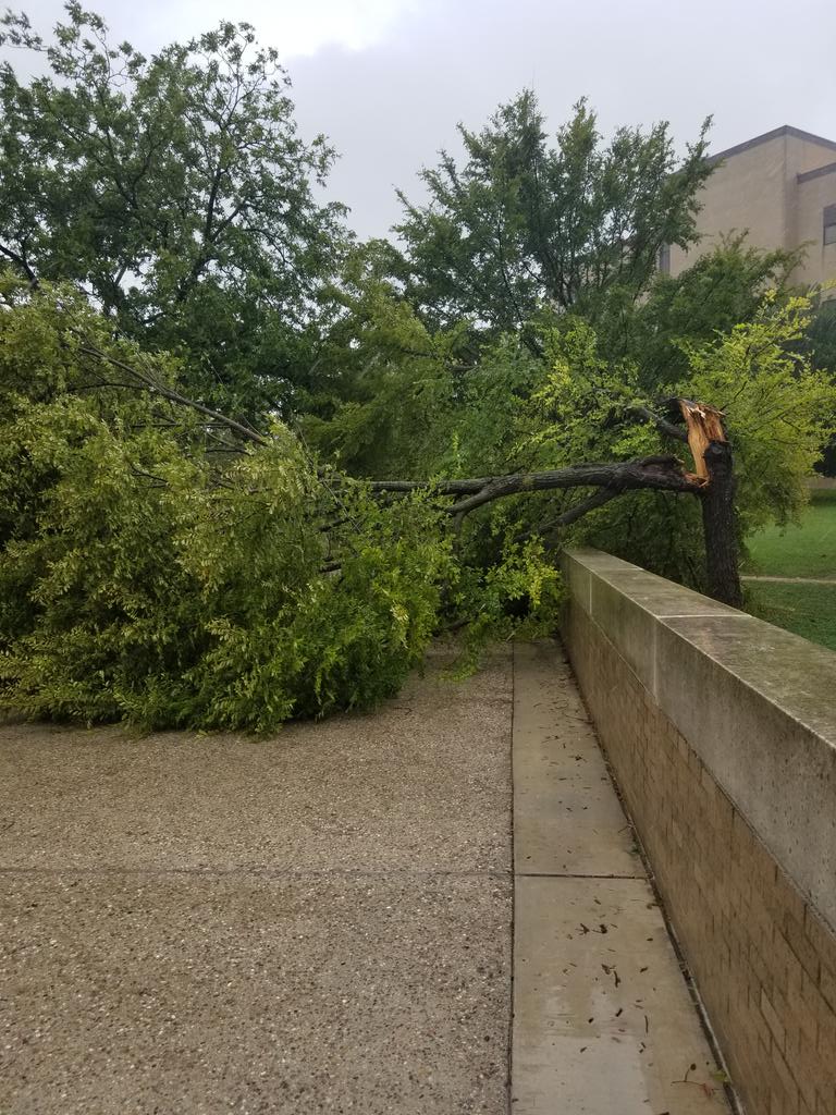 CdrizzleCwag's tweet photo. @KXAN_News https://t.co/UMZkYGDljv