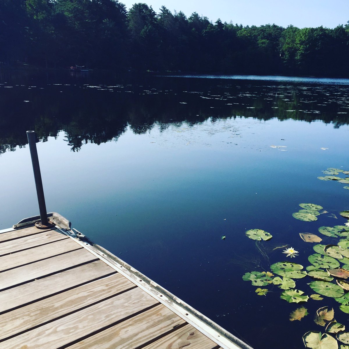 Morning coffee dockside.