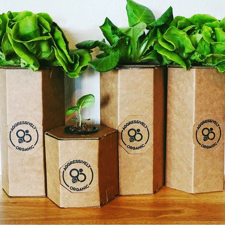 AggressivelyOrg's tweet photo. #Indiana residents: Follow us &amp; retweet this to receive a link for a FREE #AO Micro Growth Chamber! Special offer ending soon! https://t.co/wH23gSct7X