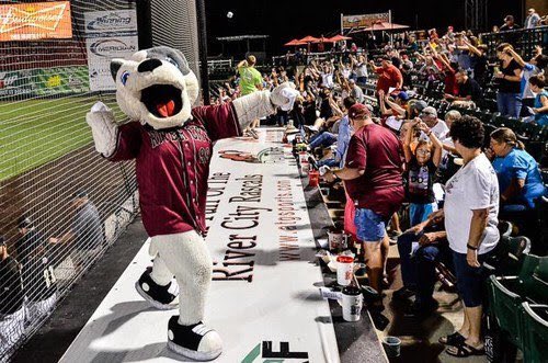 RuffyTheRascal's tweet photo. Happy #NationalDogDay! I know your favorite dog is right here River City! 🐾⚾️ #RascalsNation #Woof https://t.co/cVTNuDR2HV