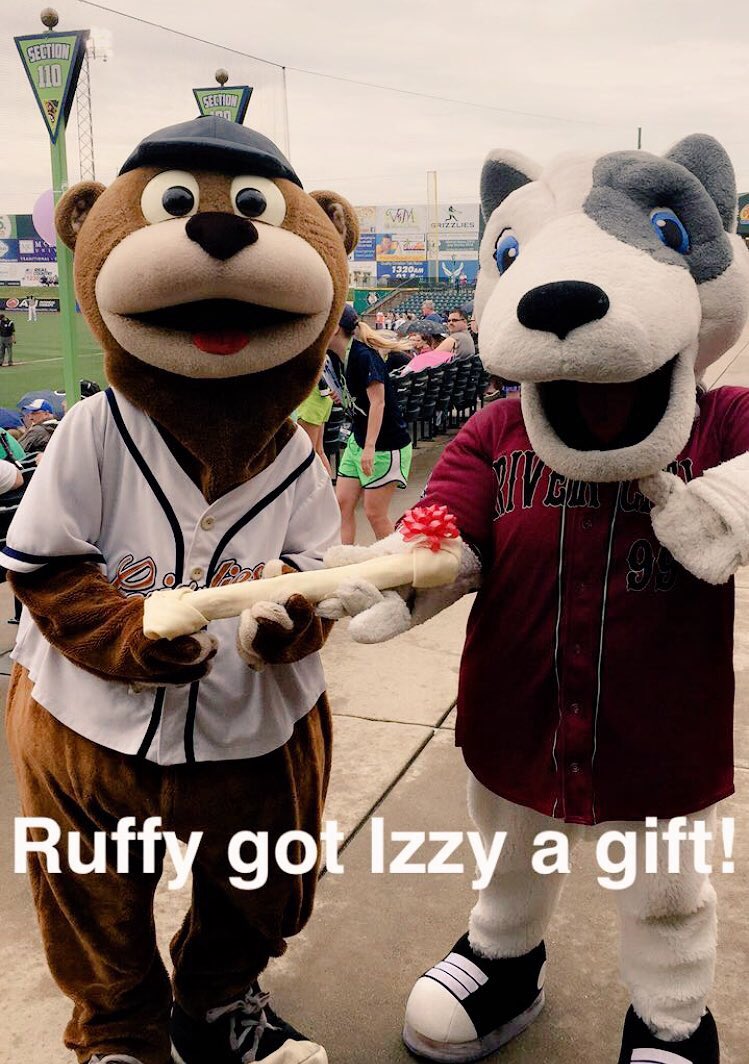 RuffyTheRascal's tweet photo. Happy #NationalDogDay! I know your favorite dog is right here River City! 🐾⚾️ #RascalsNation #Woof https://t.co/cVTNuDR2HV
