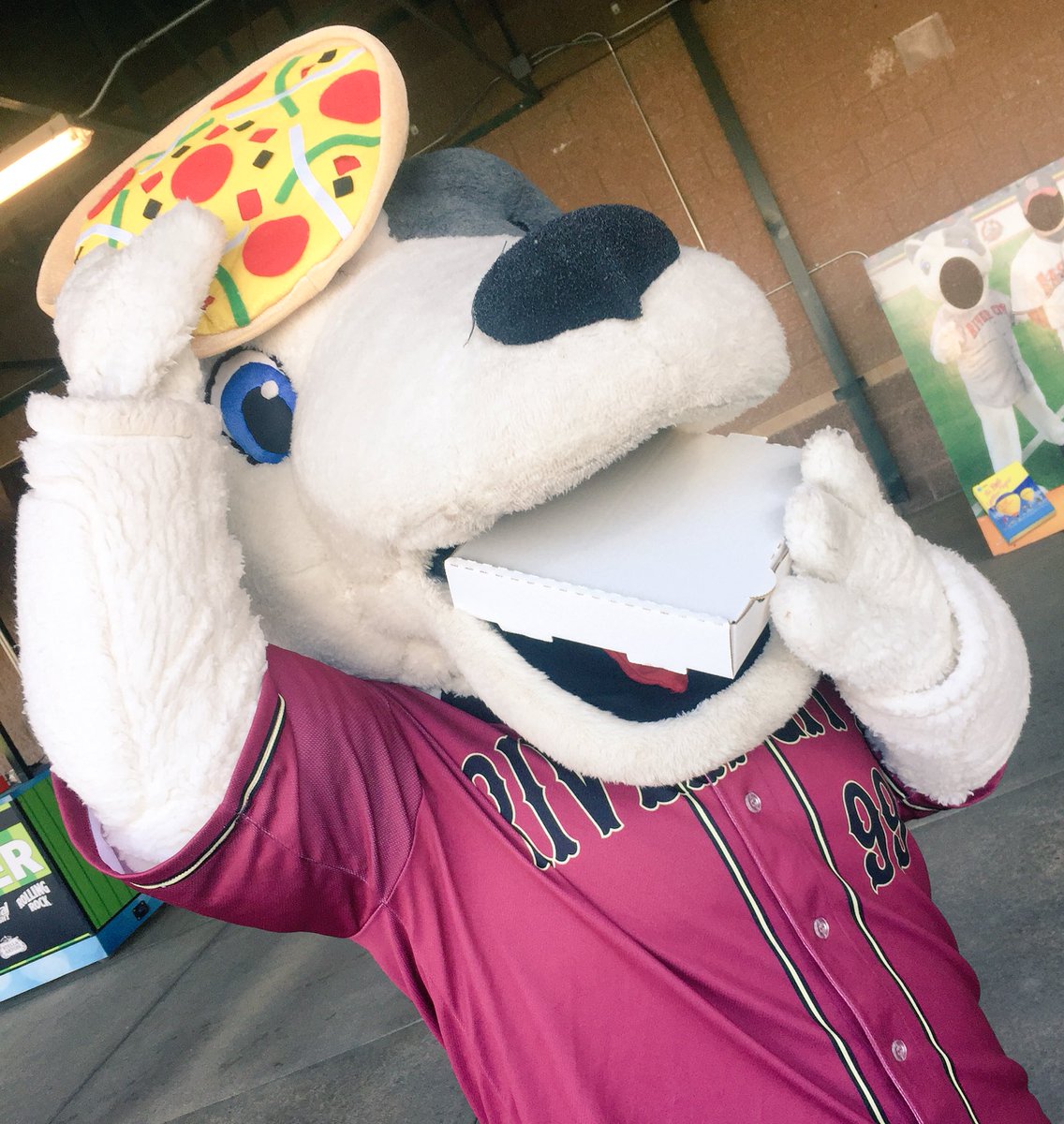 RuffyTheRascal's tweet photo. Happy #NationalDogDay! I know your favorite dog is right here River City! 🐾⚾️ #RascalsNation #Woof https://t.co/cVTNuDR2HV