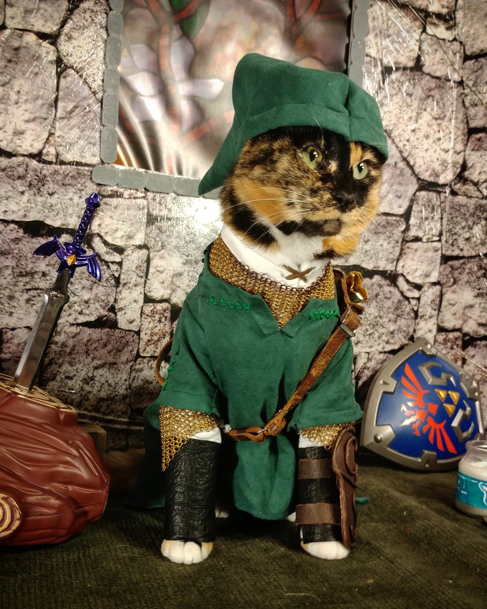 Legend Of Zelda Cat Cat's Blog
