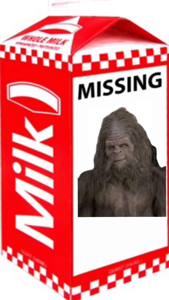 Lev Snowe tweet media