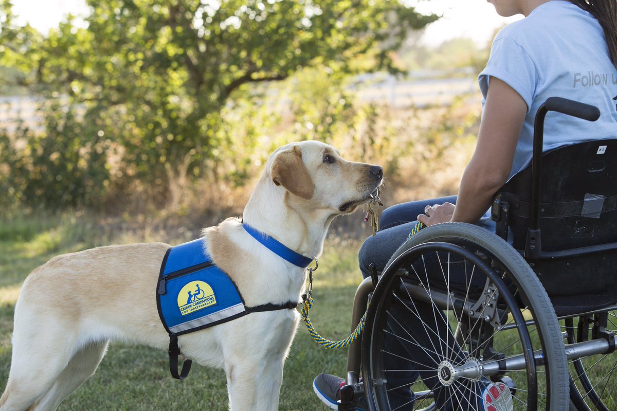 Happy #NationalDogDay! <a href="/ccicanine/">Canine Companions®</a> <a href="/ShaneBattier/">Shane Battier</a>