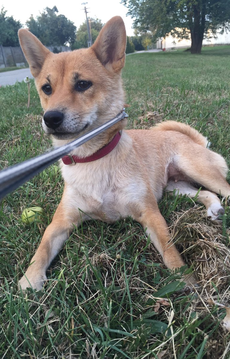 Good Night! Check out my channel: m.youtube.com/channel/UCWqg1…