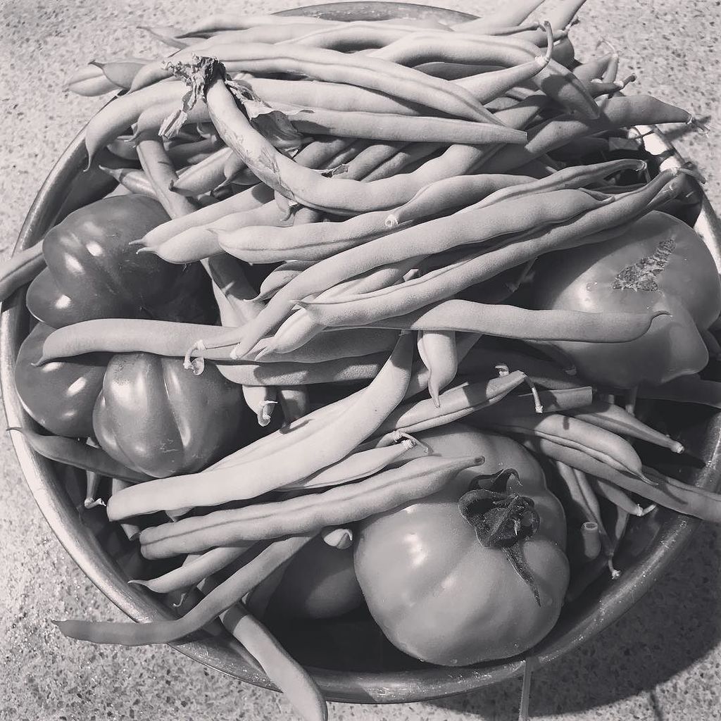 icampbellstein's tweet photo. #toomanyvegetables #garden https://t.co/OUYKpxCeWj https://t.co/3eh99Qw3fp
