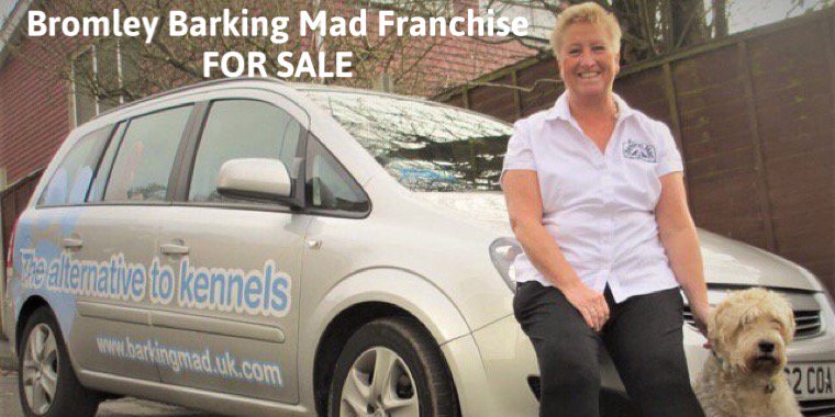 BarkingMadTinaD's tweet photo. Be your own Boss &amp; have a change in career. Barking Mad franchise *FOR SALE* CALL☎️07813576301 #beckbromfl #Beckenham #Bromley #BigginHill https://t.co/7CP5vzpQSj