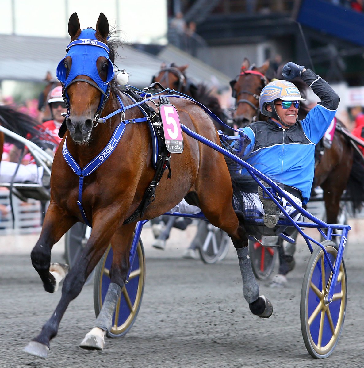 Le crack <a href="/Timoko3/">Timoko Shiba</a> termine sa carrière française par un succès dans le GP06 et dépasse les 5 millions d'euros de gains. #mercitimoko 🎩👍