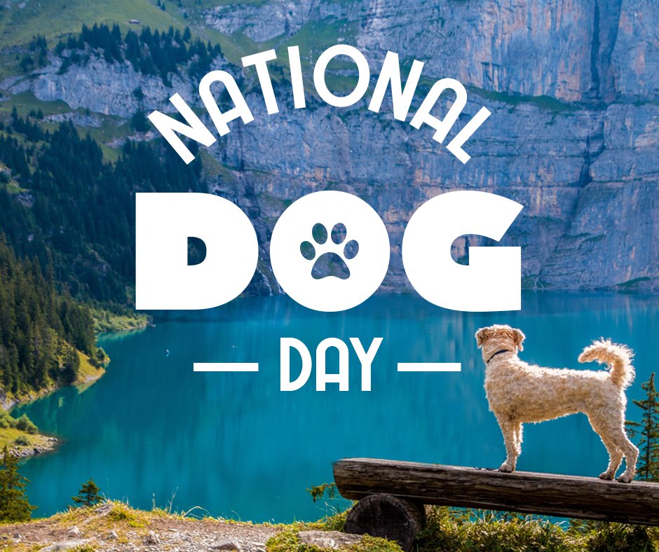 WichitaTractor's tweet photo. Have some fun with your dog today! https://t.co/r8lotkRtRy